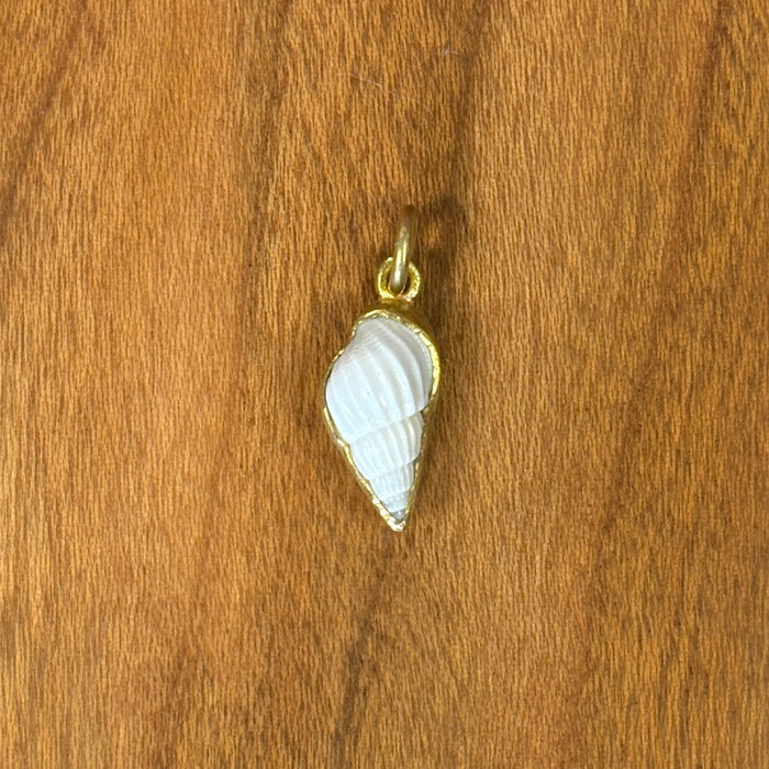 White Shell Charm