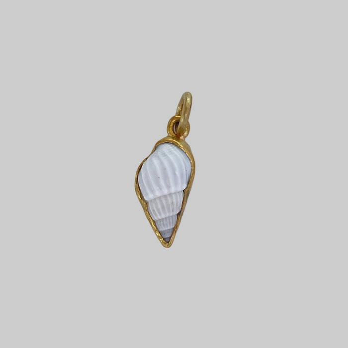 Shell charm with gold frame on a light gray background